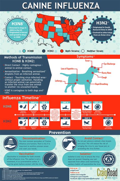 Canine parainfluenza.